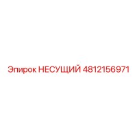 4812156971 НЕСУЩИЙ Epiroc