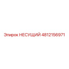4812156971 НЕСУЩИЙ Epiroc
