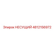 4812156972 НЕСУЩИЙ Epiroc