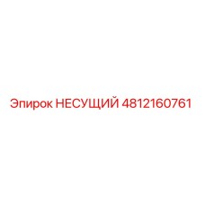 4812160761 НЕСУЩИЙ Epiroc