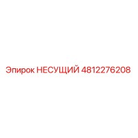 4812276208 НЕСУЩИЙ Epiroc