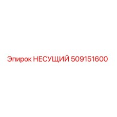 509151600 НЕСУЩИЙ Epiroc