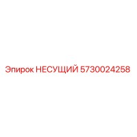 5730024258 НЕСУЩИЙ Epiroc