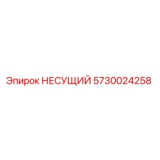 5730024258 НЕСУЩИЙ Epiroc