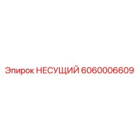 6060006609 НЕСУЩИЙ Epiroc