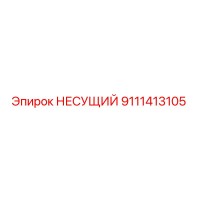 9111413105 НЕСУЩИЙ Эпирок