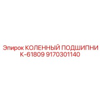 9170301140 КОЛЕННЫЙ ПОДШИПНИК-61809 Epiroc