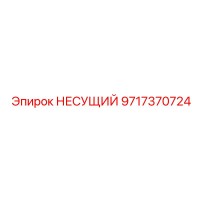 9717370724 НЕСУЩИЙ Epiroc