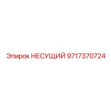 Фотография несущей детали Epiroc 9717370724