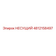 4812158497 НЕСУЩИЙ Epiroc