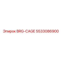 5533086900 BRG-CAGE Epiroc