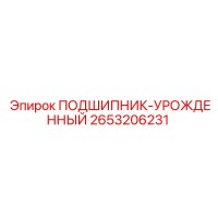 2653206231 ПОДШИПНИК-УРОЖДЕННЫЙ Epiroc