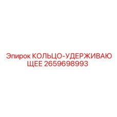 2659698993 КОЛЬЦО-УДЕРЖИВАЮЩЕЕ Epiroc