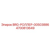 4700813649 BRG-РОЛЛЕР-00503886 Epiroc