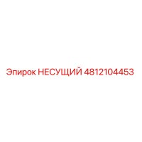 4812104453 НЕСУЩИЙ Эпирок (Epiroc)
