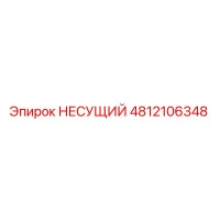 4812106348 НЕСУЩИЙ Epiroc