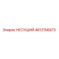 4812156973 НЕСУЩИЙ Epiroc