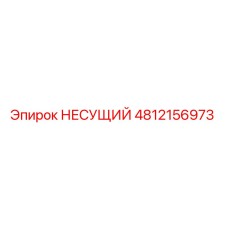 4812156973 НЕСУЩИЙ Epiroc