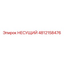 4812158476 НЕСУЩИЙ Epiroc