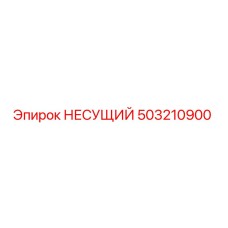 503210900 НЕСУЩИЙ Epiroc