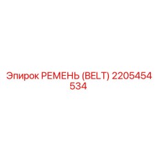 2205454534 РЕМЕНЬ (BELT) Epiroc