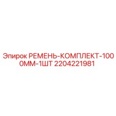 2204221981 РЕМЕНЬ-КОМПЛЕКТ-1000MM-1ШТ Epiroc