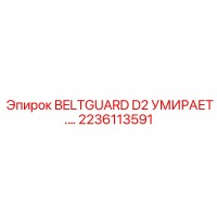 2236113591 BELTGUARD D2 УМИРАЕТ (Epiroc)