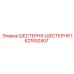 1621052407 ШЕСТЕРНЯ-ШЕСТЕРНЯ Epiroc