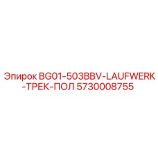 5730008755 BG01-503BBV-LAUFWERK-ТРЕК-ПОЛ Epiroc