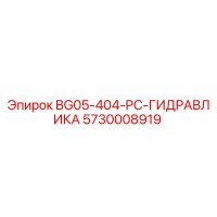 5730008919 BG05-404-PC-ГИДРАВЛИКА Epiroc