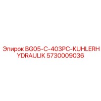 5730009036 BG05-C-403PC-KUHLERHYDRAULIK Epiroc