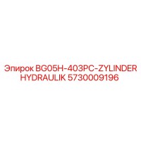 5730009196 Hydraulic Cylinder for Epiroc BG05H Drill Rig
