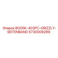5730009289 BG05K-403PC-GRIZZLY-SEITENBAND Epiroc