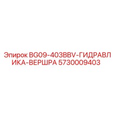 5730009403 BG09-403BBV-ГИДРАВЛИКА-ВЕРШРА | Epiroc