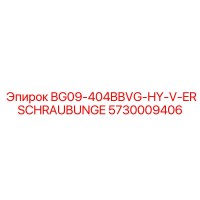 5730009406 BG09-404BBVG-HY-V-ERSCHRAUBUNGE | Epiroc