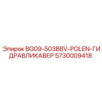 5730009418 BG09-503BBV-POLEN-ГИДРАВЛИКАВЕР Epiroc