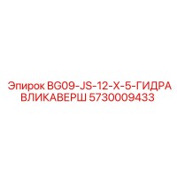 5730009433 BG09-JS-12-X-5-ГИДРАВЛИКАВЕРШ Epiroc