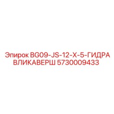 5730009433 BG09-JS-12-X-5-ГИДРАВЛИКАВЕРШ Epiroc