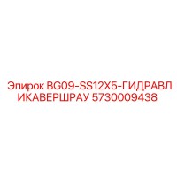 5730009438 BG09-SS12X5-ГИДРАВЛИКАВЕРШРАУ Epiroc
