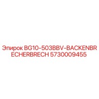 5730009455 BG10-503BBV-BACKENBRECHERBRECH Epiroc