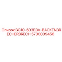 5730009456 BG10-503BBV-BACKENBRECHERBRECH Epiroc