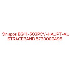 5730009496 BG11-503PCV-HAUPT-AUSTRAGEBAND Epiroc