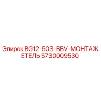 5730009530 BG12-503-BBV-МОНТАЖЕТЕЛЬ Epiroc
