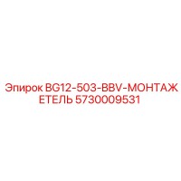 5730009531 BG12-503-BBV-МОНТАЖЕТЕЛЬ Epiroc