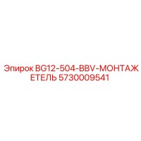 5730009541 BG12-504-BBV-МОНТАЖЕТЕЛЬ Epiroc