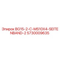 5730009635 BG15-2-C-MS10X4-SEITENBAND-2 Epiroc