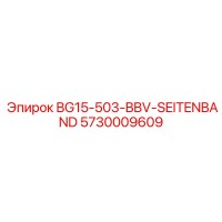 5730009609 BG15-503-BBV-SEITENBAND Epiroc