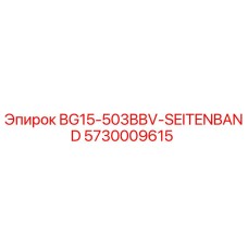 5730009615 BG15-503BBV-SEITENBAND Epiroc