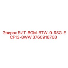 3760918768 БИТ-BGM-BTW-9-RSG-ECF13-8WW Эпирок