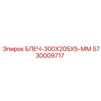 5730009717 БЛЕЧ-300X205X5-ММ Epiroc